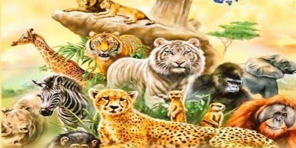 Leaders Extend Greetings on World Wildlife Day