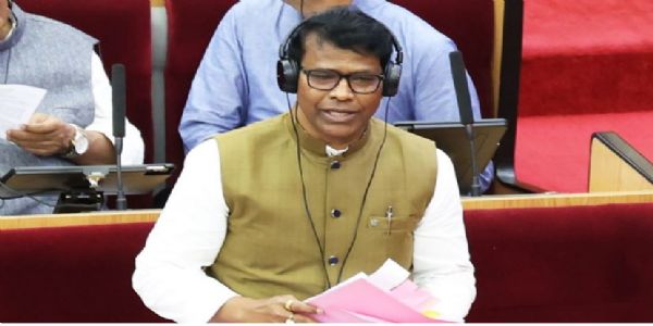 264 Elephants Died in Odisha Over Three Years: Forest Minister