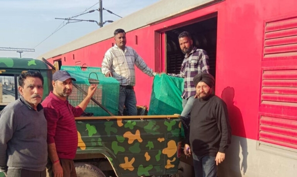 Two Leopard Cats, Black Bears Dispatched For Chennai From Jammu By Train