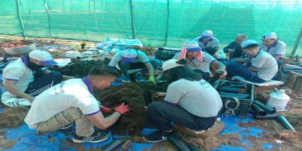 Hockey India, Adoptrees Launch Tree Plantation Drive During Women’s Hockey World Cup Qualifiers