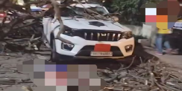 Tree Falls on Moving Vehicles in Guwahati, Several Feared Injured