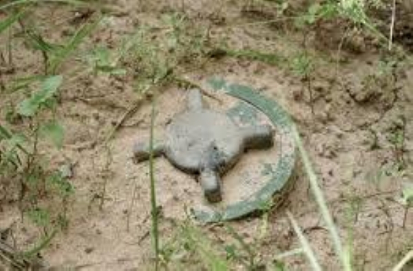Soldier Injured In Landmine Blast Near LoC In Poonch; Rusted Shell Defused