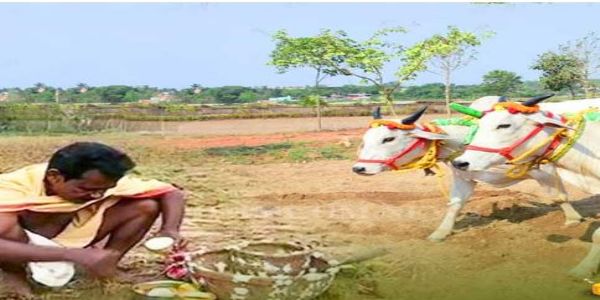 Akshaya Tritiya Celebrated Across Odisha with Traditional Agrarian Rituals