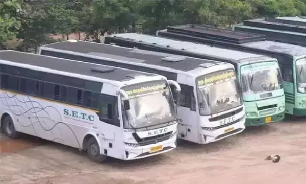 TN spl buses