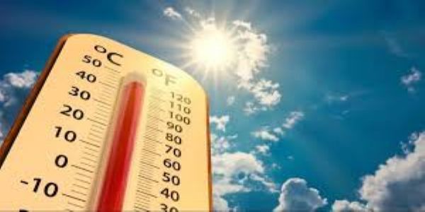 Severe heat to continue in UP, experts advice to use mulching in fields