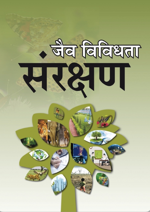 Representational Image