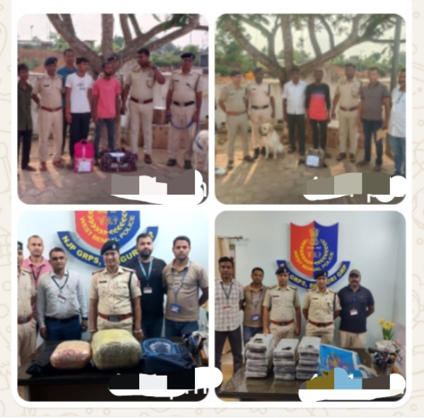 The images Shared by NFR.