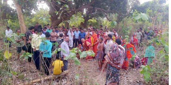 Woman Killed in Elephant Attack in Dhenkanal Village
