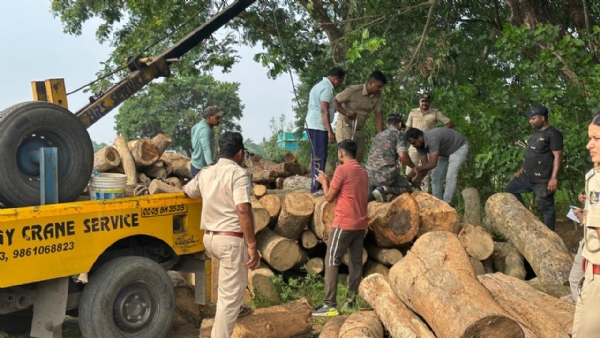 Illegal Sawmill Busted in Cuttack