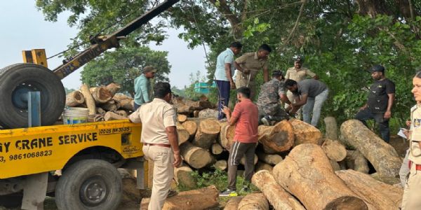Illegal Sawmill Busted in Cuttack; Machinery and Timber Worth ₹11 Lakh Seized