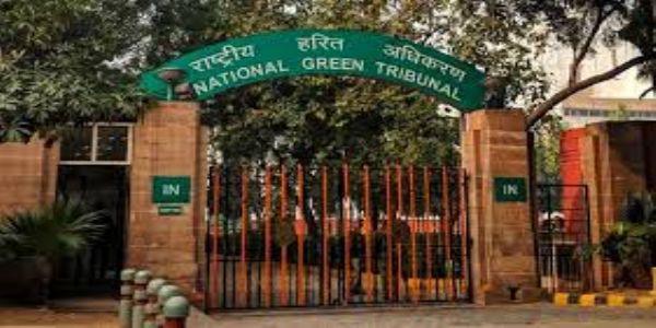 NGT dismisses plea challenging proposed fixed compacting transfer station in Delhi’s Basai Dara Pur