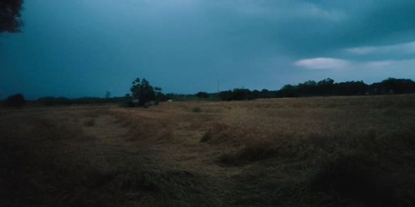 Over 1.3 Lakh Acres of Crops Damaged Due to Rain and Hailstorm in Punjab: Gurmeet Singh Khudian