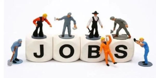 Campus drive held at Govt ITI Aliganj, 121 candidates shortlisted