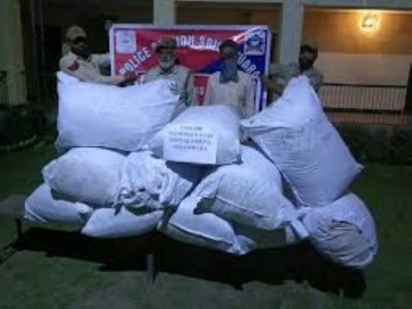 Drug-Free J&K Campaign: 646 Arrested, 260 Kg Narcotics Seized In 28 Days