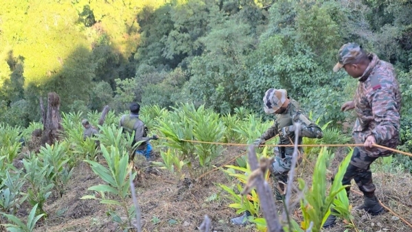 Army JCO Dies After Slipping During Night Patrol in Rafiabad Forest Area