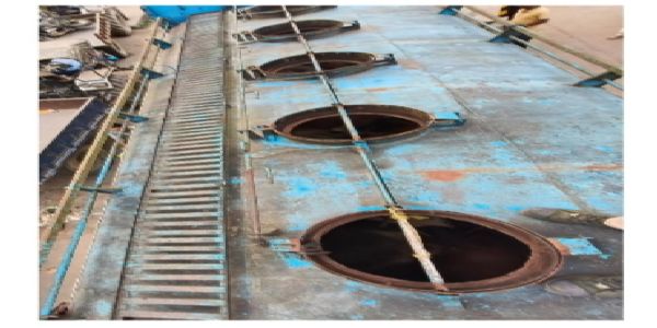 28 Helpless Cattle Rescued from Oil Tanker, Three Smugglers Held in Assam