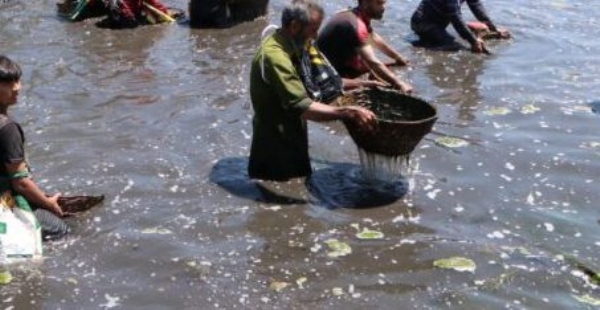 Centuries-Old Panzath Festival Revives Community-Led Spring Cleaning Tradition in South Kashmir Centuries-Old Panzath Festival Revives Community-Led Spring Cleaning Tradition in South Kashmir