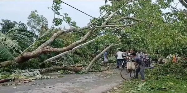 Severe storm wreaks havoc in Jalpaiguri, hundreds of houses damaged