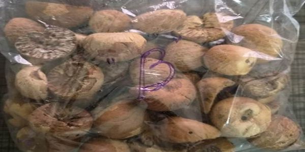 DRI seizes 60,000 kg of foreign betel nut in Northeast; five arrested