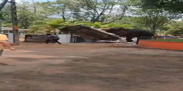 Elephant runs amok in Thrissur, damages homes and vehicles