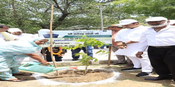 NDMC Conducts Plantation Drive Under ‘Ek Ped Maa Ke Naam’ Campaign in New Delhi