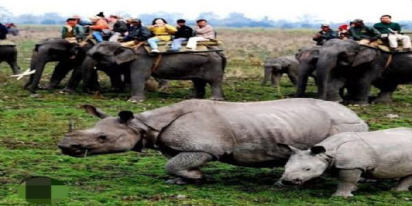 Kaziranga National Park to Remain Closed From May 29