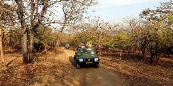 Melghat Tiger Project to remain closed from June 15