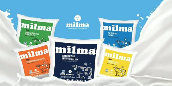 Milma hikes milk prices by ₹4 per litre from June 1; Curd rates also increased