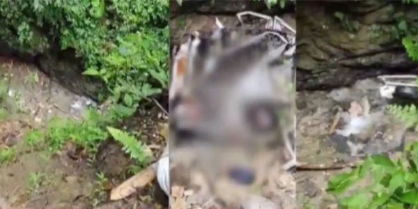 Five Assam Youths Killed in Road Accident in Arunachal Pradesh