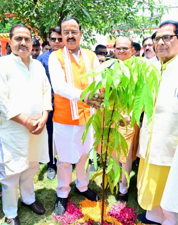 Keshav Maurya plants sapling