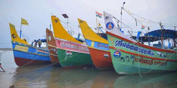 Annual fishing ban ends in Tamil Nadu today midnight