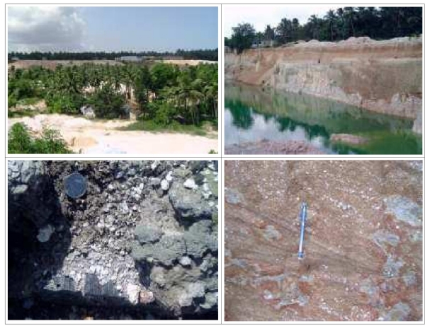 Mineral wealth Mineral wealth