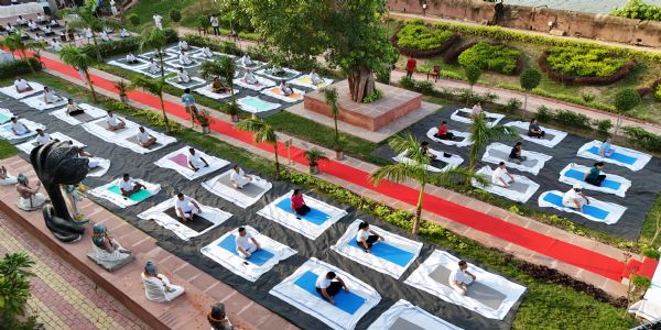Purva UP & MP Sub Area, Prayagraj Celebrates International Yoga Day with Focus on Yoga for Healthy Aging at Sacred Akshay Vat Vatika