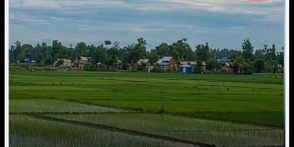 Nagaon Administration Prepares Major Eviction Drive on Encroached Govt Reserve Land