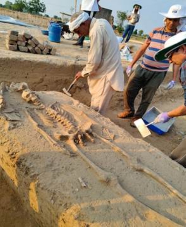 Rakhigarhi Skeletons Set to Unlock Secrets of the Harappan Civilization Rakhigarhi Skeletons Set to Unlock Secrets of the Harappan Civilization