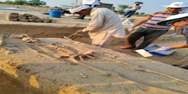 Rakhigarhi Skeletons Set to Unlock Secrets of the Harappan Civilization