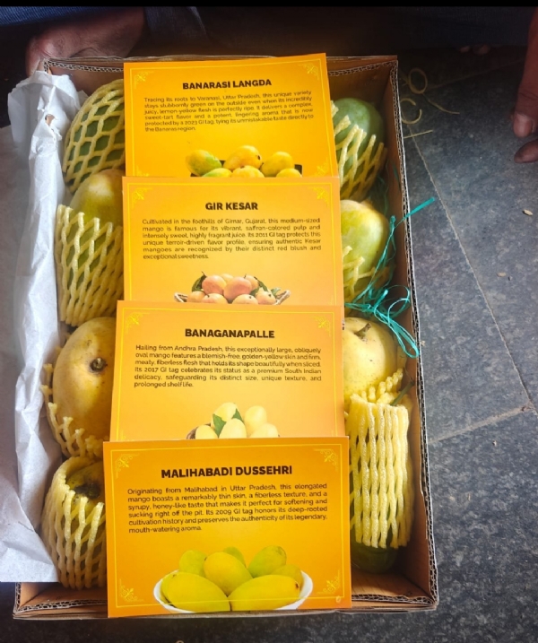 BJP Chief Gifts Indian Mangoes to Envoys of 82 Nations in Cultural Outreach Initiative BJP Chief Gifts Indian Mangoes to Envoys of 82 Nations in Cultural Outreach Initiative