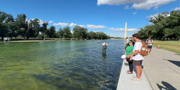 Trump Alleges Criminal Sabotage at Lincoln Memorial Reflecting Pool, Says Six Arrested