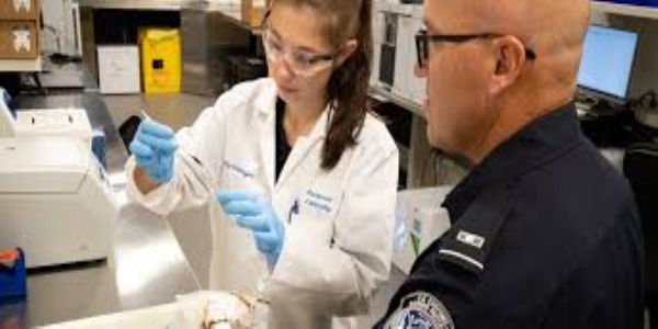 Dismantling the Fentanyl Supply Chain