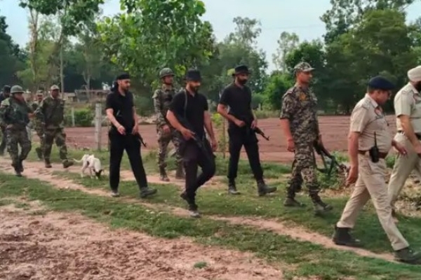 BSF and police during search operation.