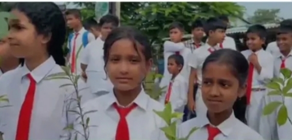 Image of the Green Initiatives on World Environment Day.