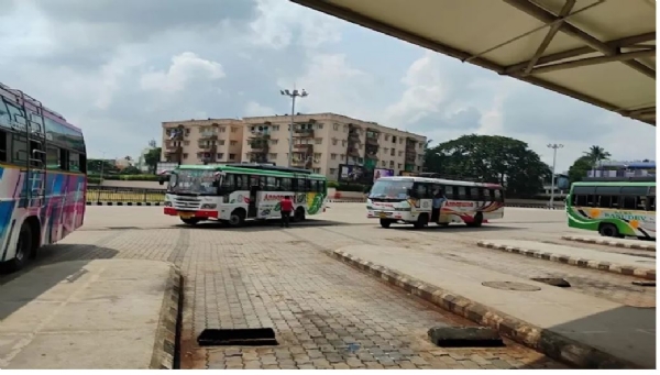 Private Buses