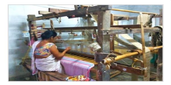 Assam’s Golden Thread: How Muga Silk is Emerging as a Major Driver of Employment, Economic Growth and Global Cultural Recognition