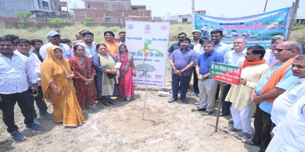 One tree in name of mother, building green future: Nandi