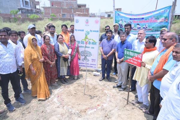 Minister Nandi planting sapling