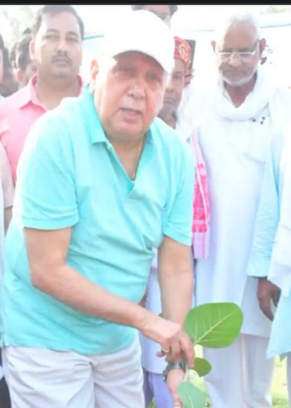 Agriculture Minister Surya Pratap Shahi planted saplings on Sunday