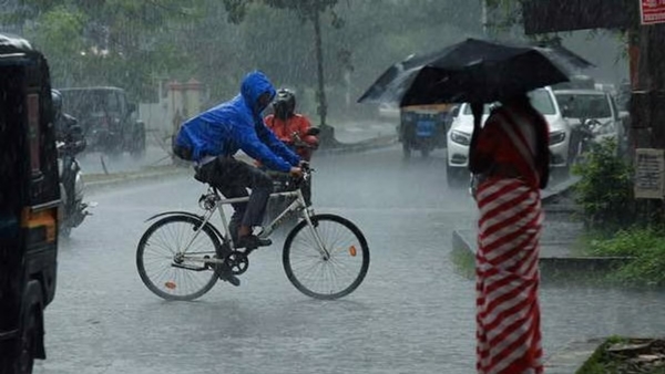 Rains Rains