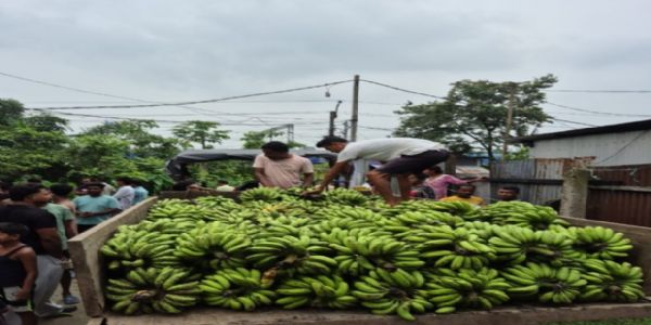 Several Quintals of Bananas Seized in Food Safety Raid at Nagaon Market