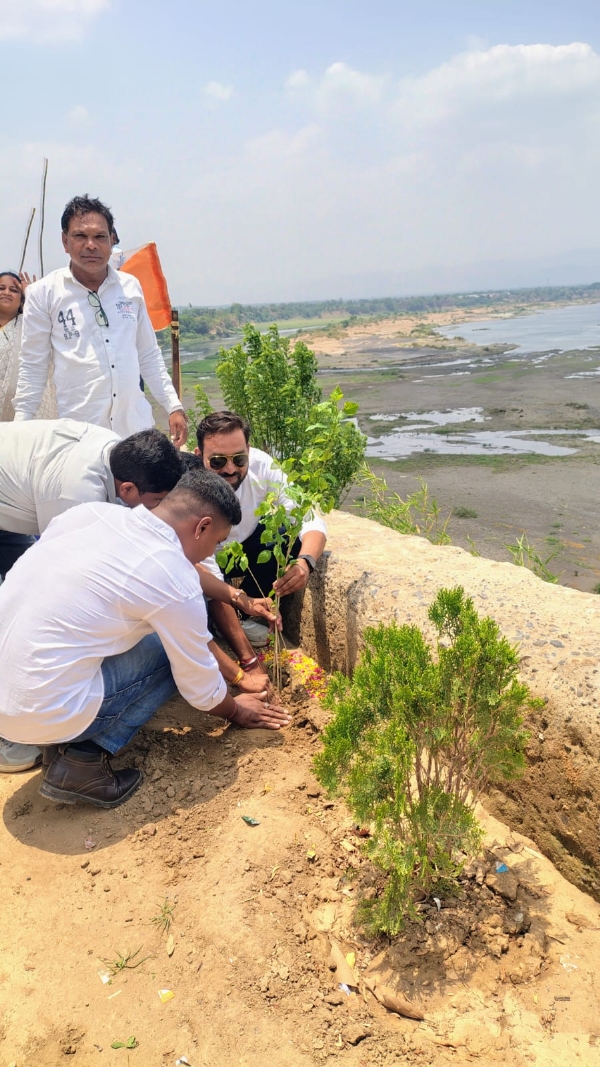 Tree plantation program organized in various talukas of Narmada district Tree plantation program organized in various talukas of Narmada district