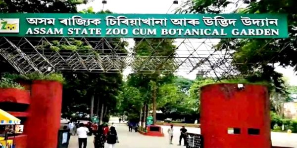 Assam State Zoo Modernisation 27% Complete, ₹360-Crore Project Underway: CM